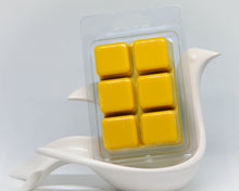 Load image into Gallery viewer, Ancient Library Wax Melts