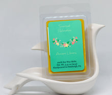 Load image into Gallery viewer, Ancient Library Wax Melts