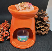 Load image into Gallery viewer, Fragrance Warmers - Sleek Botanical