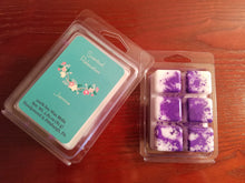 Load image into Gallery viewer, Jasmine Wax Melts
