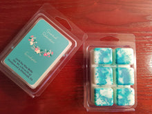 Load image into Gallery viewer, Eucalyptus Wax Melts